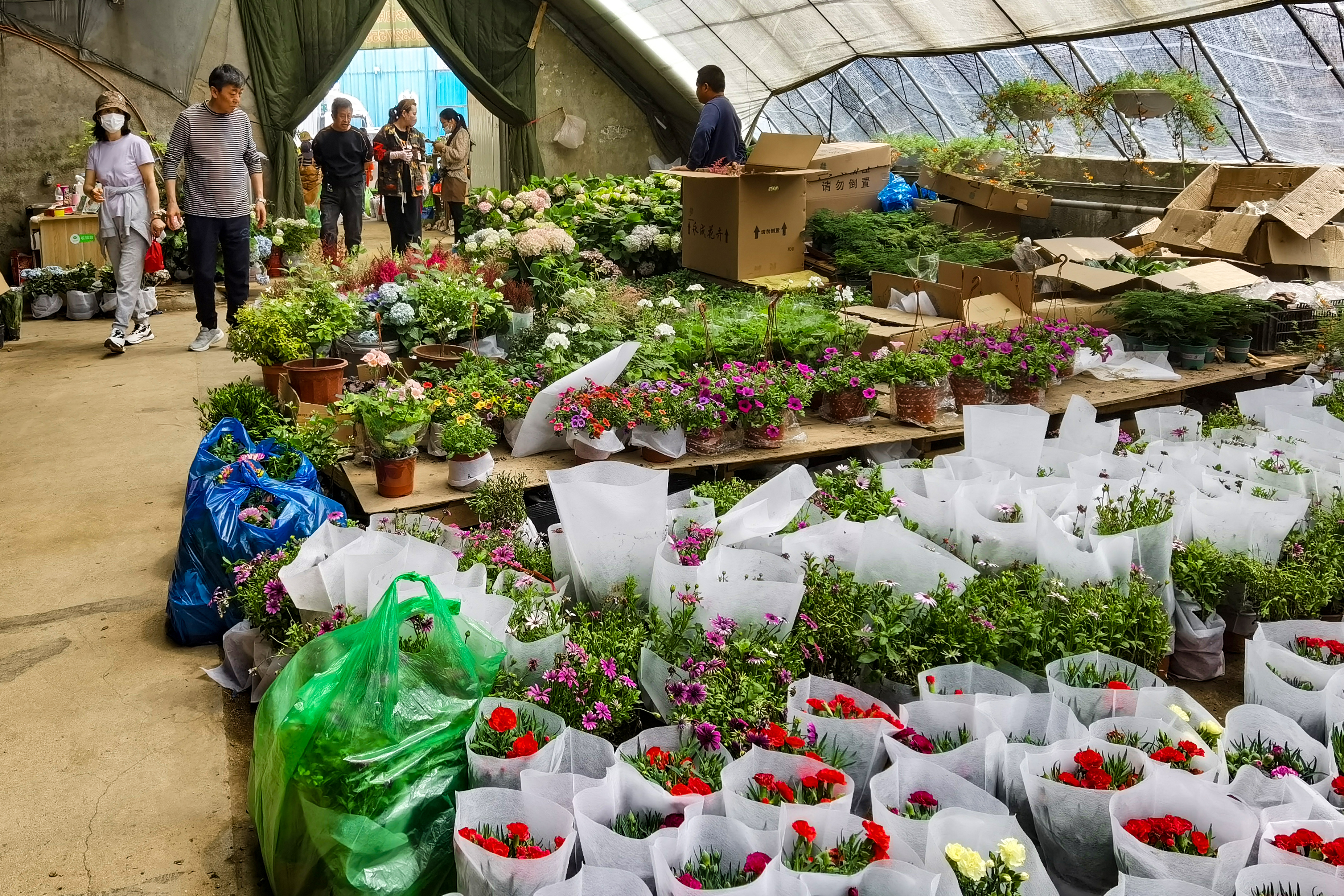 沈阳南井花卉市场,沈阳市南井花卉市场地址
