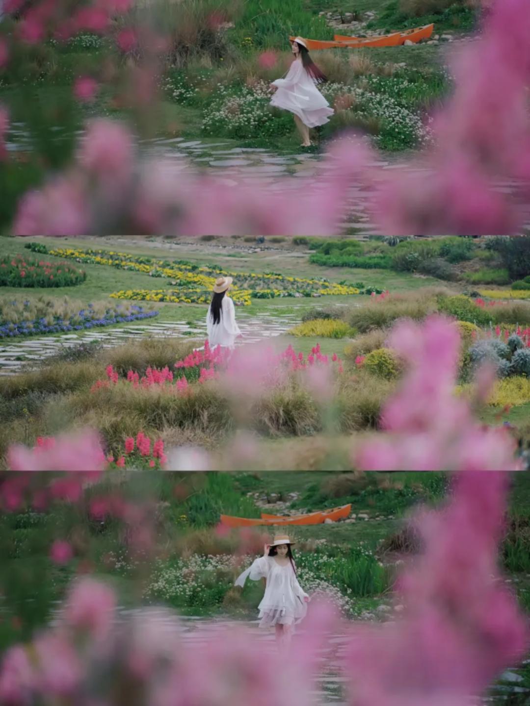 踏青露营地推荐,空港花田古朴森林露营地