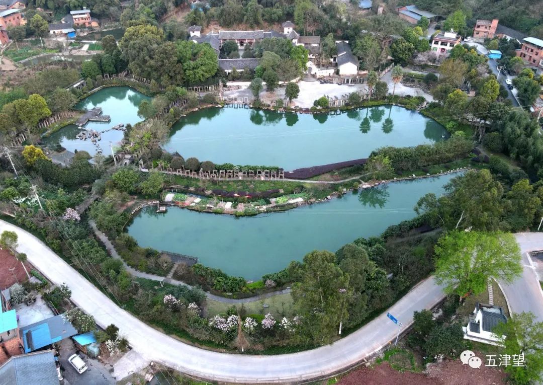 重庆有名的山庄,重庆比较出名的山庄