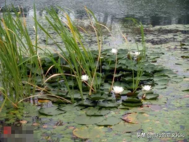 上海自驾西山旅游攻略,苏州东山一日游自驾游最佳路线图