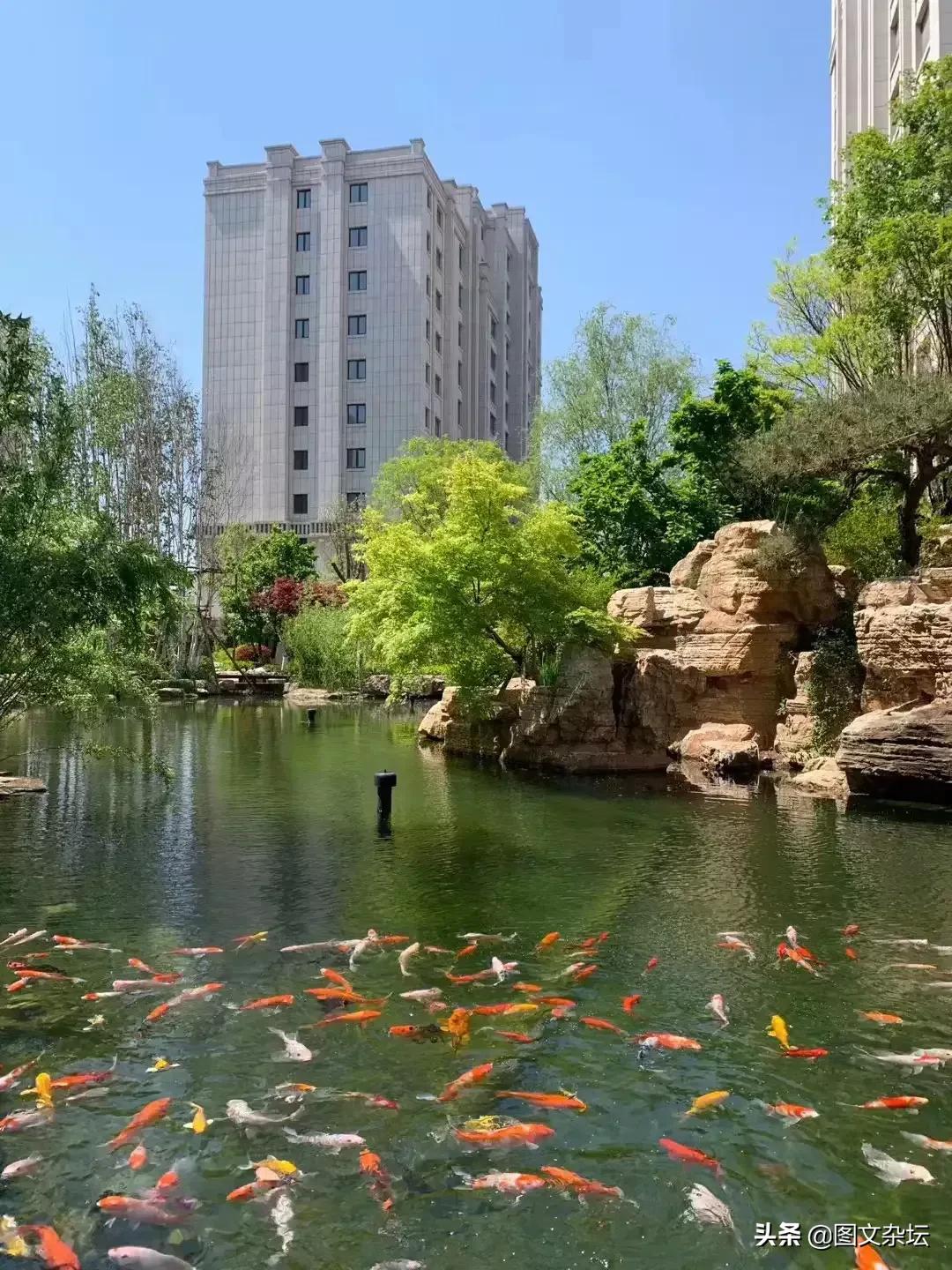 老婆赌钱输光被丈夫打,当老婆赌博输了该怎么安慰