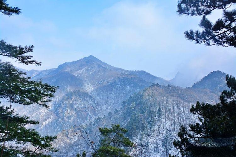 不会吧!不会吧!不会还有人不知道宝天曼吧?