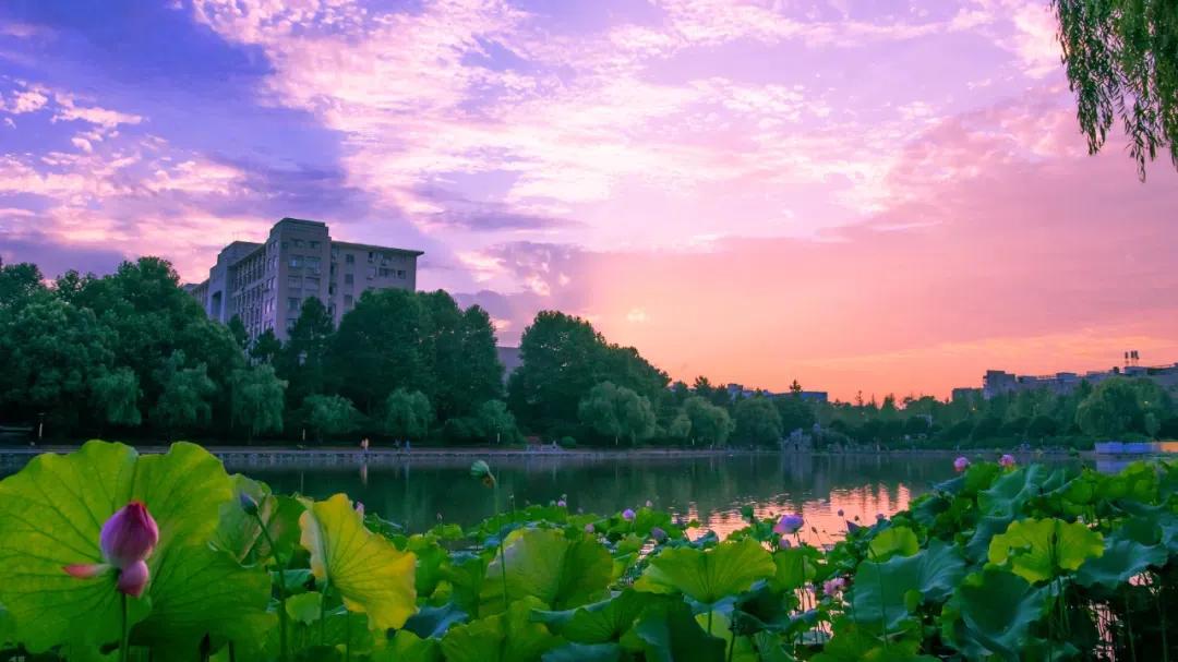 浙师大录取分数为什么那么高,浙师大三位一体录取现在什么状态