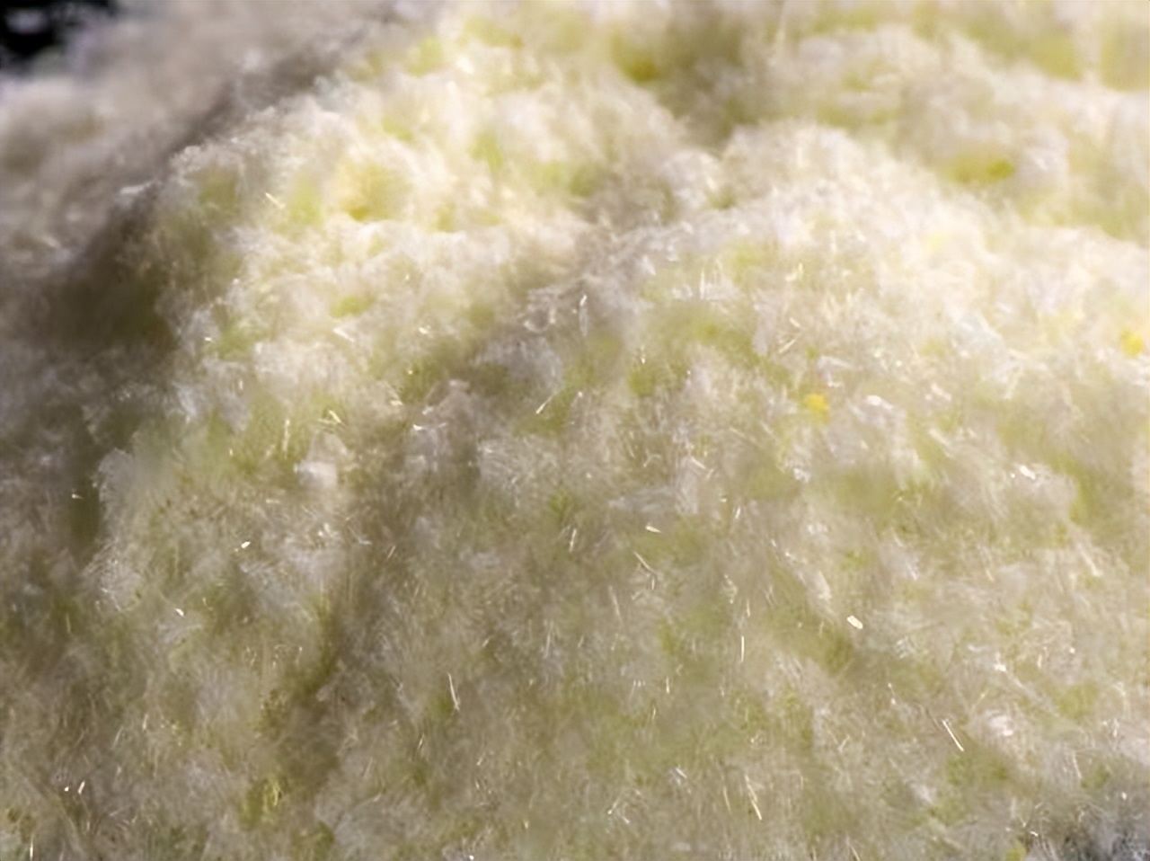 倍恩喜奶粉香兰素如何检测,倍恩喜羊奶粉出问题了么