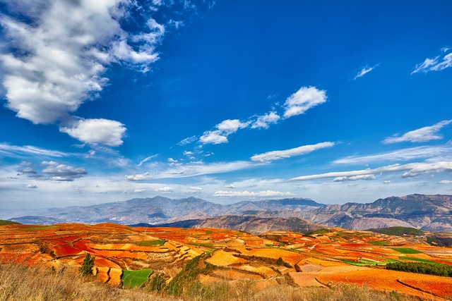 40多岁的女人怎么测试对你的好感,中年女人撩你的话题