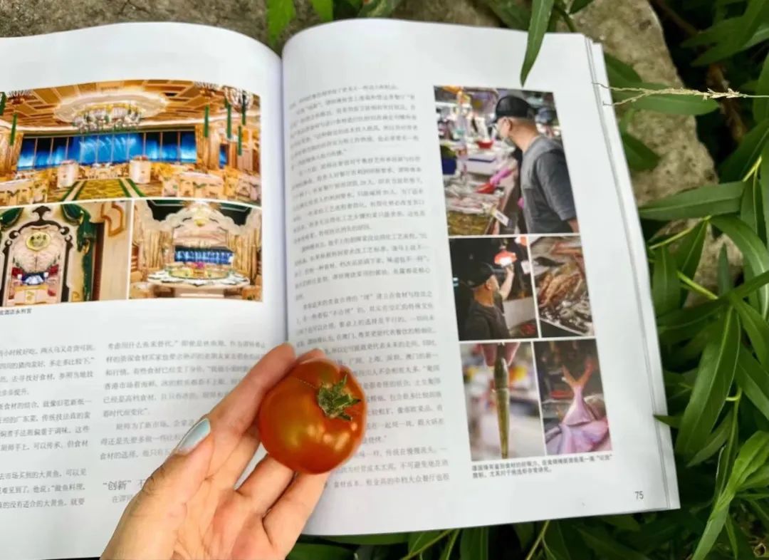 大师做菜的匠心,大师做菜大全