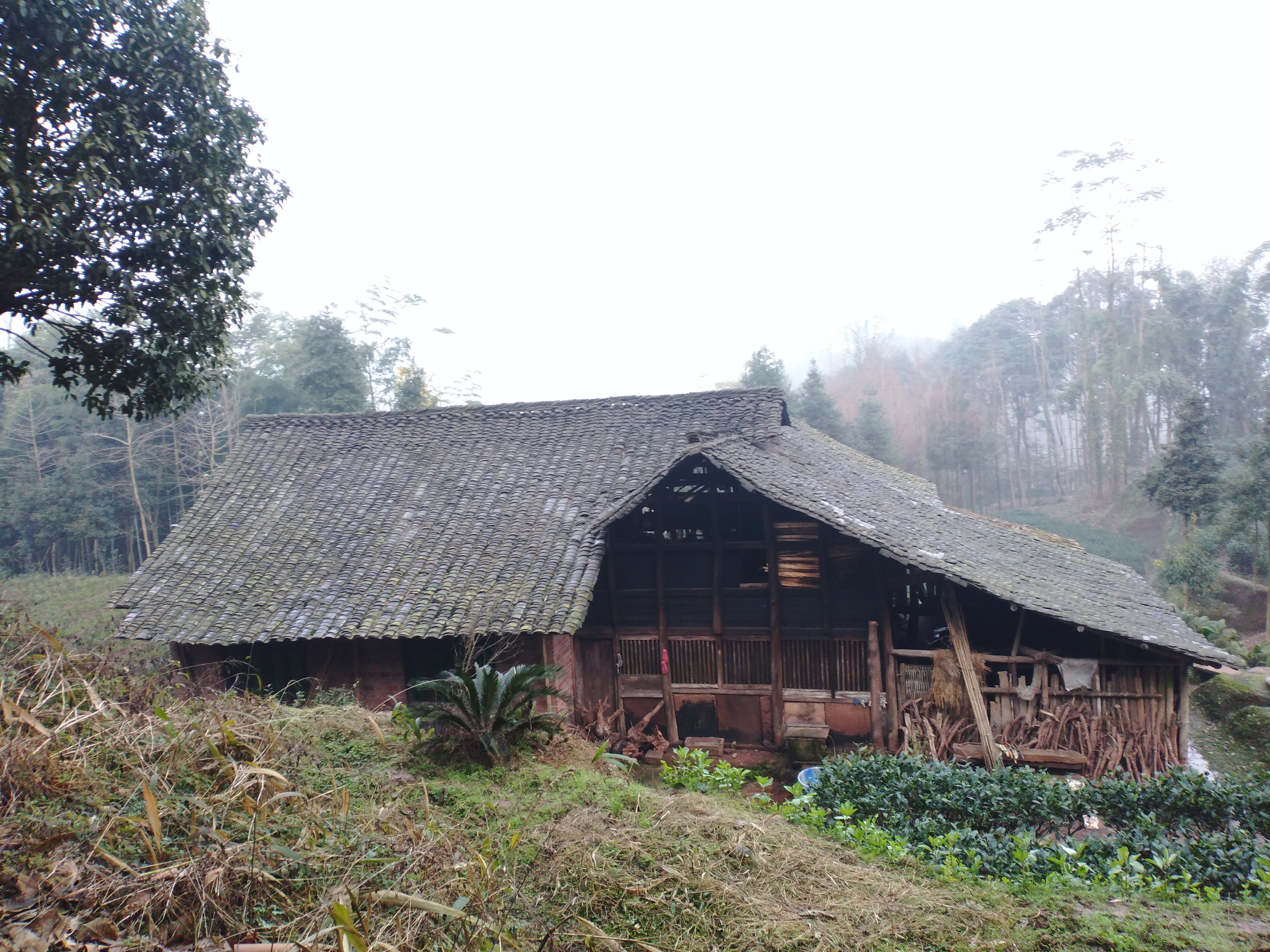 八十三岁老人：陪我畅谈半天后驾鹤西去