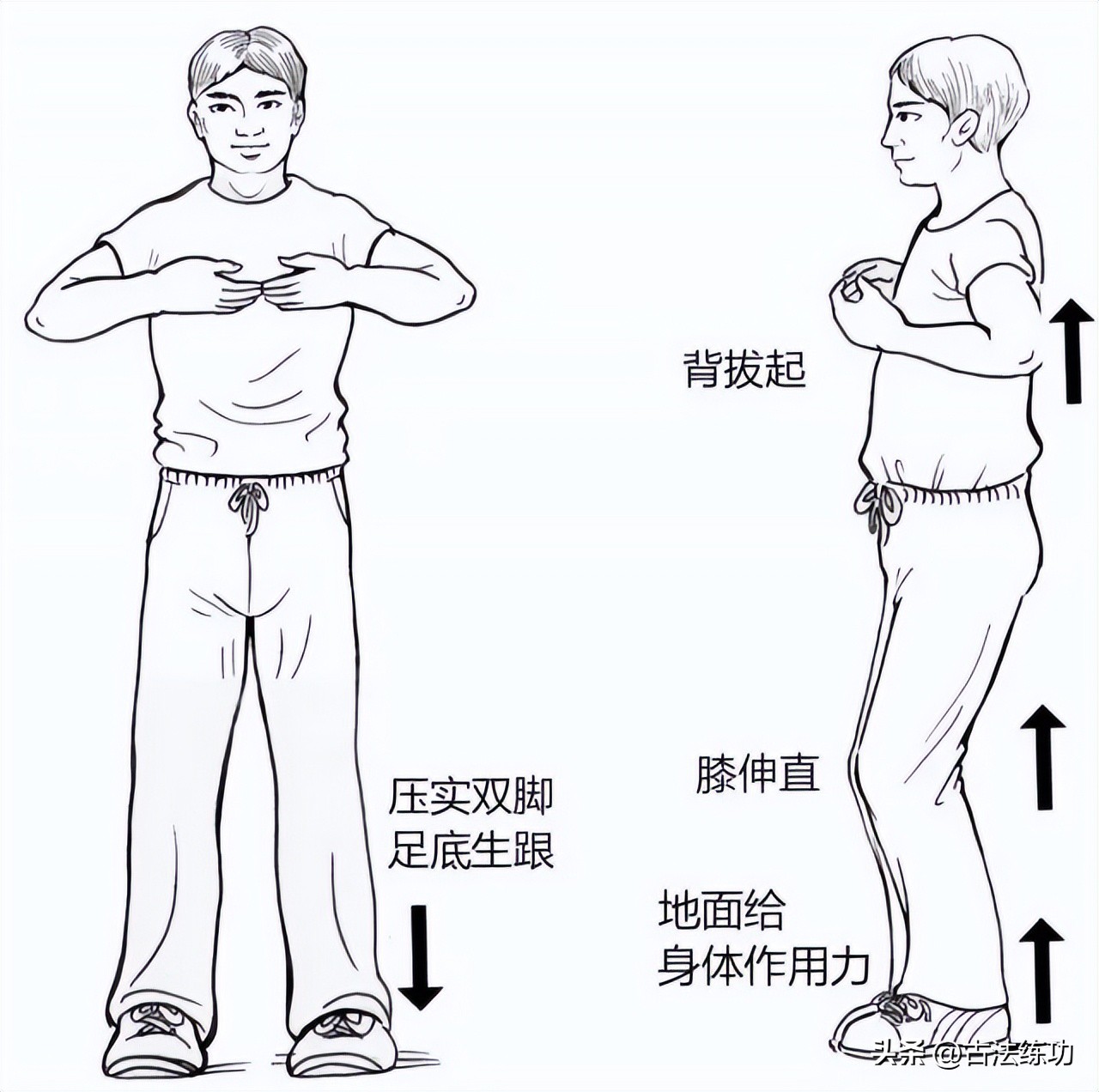 站桩内功解密视频,科学解密站桩