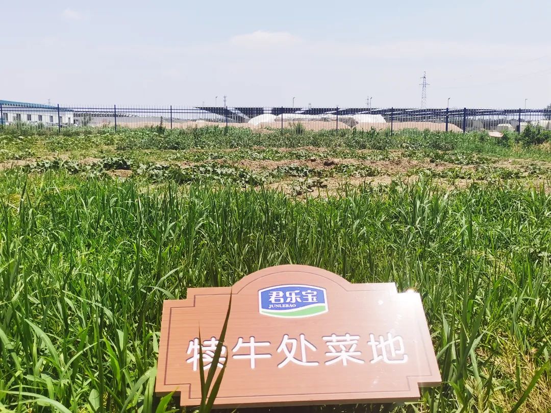 君乐宝威县乐源君享,君乐宝农场纪录片