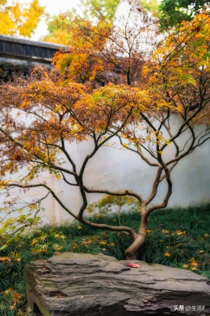 面对故意挑衅的人三种方法,当对方故意激怒你应该怎么做