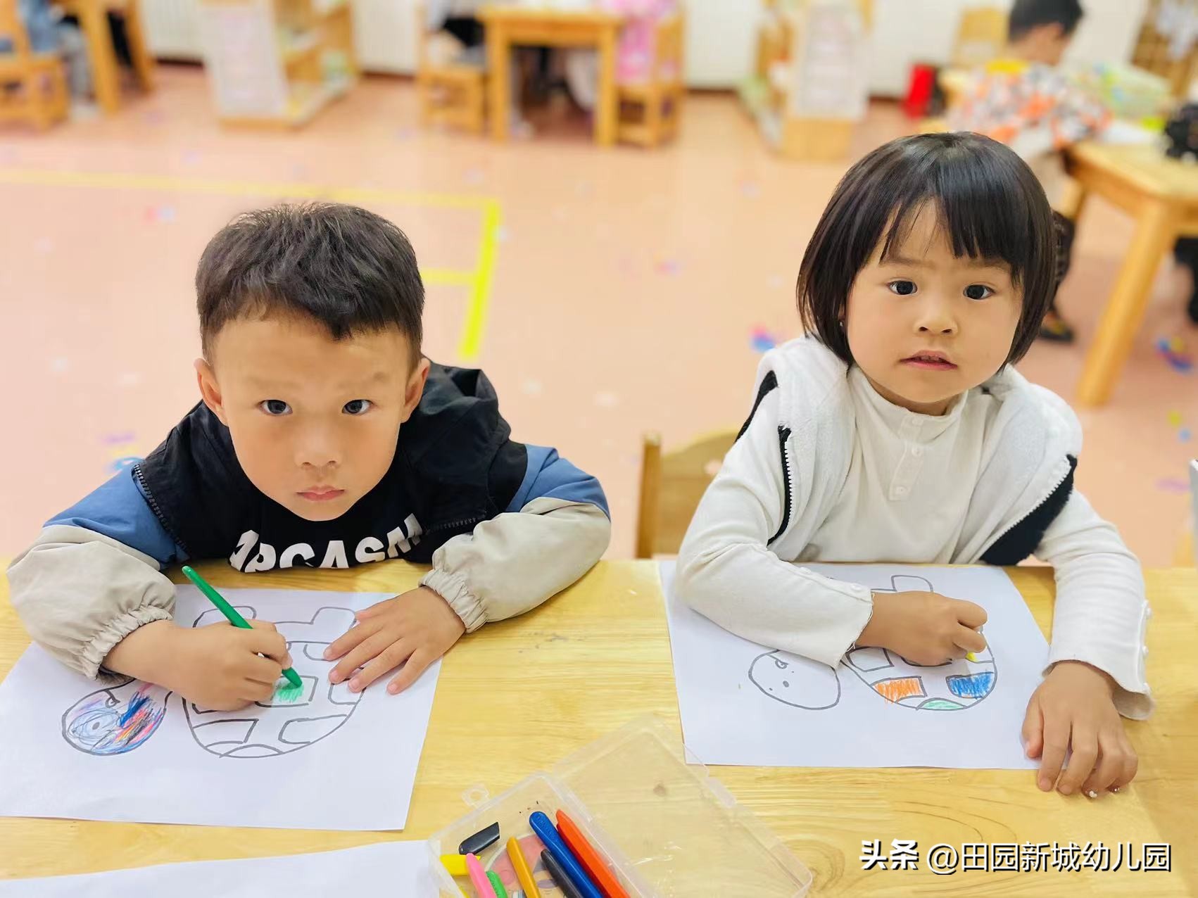 课程故事乌龟大班,嗨小鸭课程故事