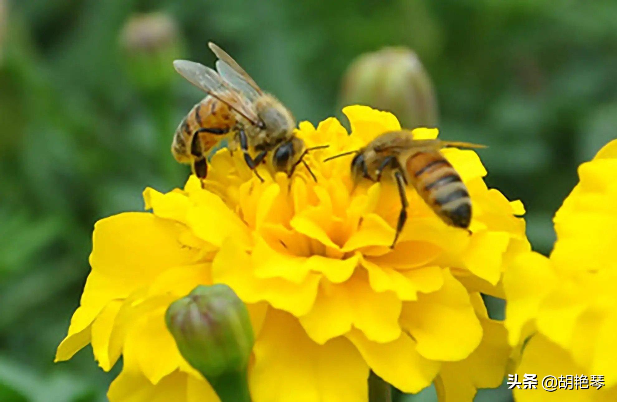 关于劳动者的诗句有哪些,歌颂劳动人民的经典诗词