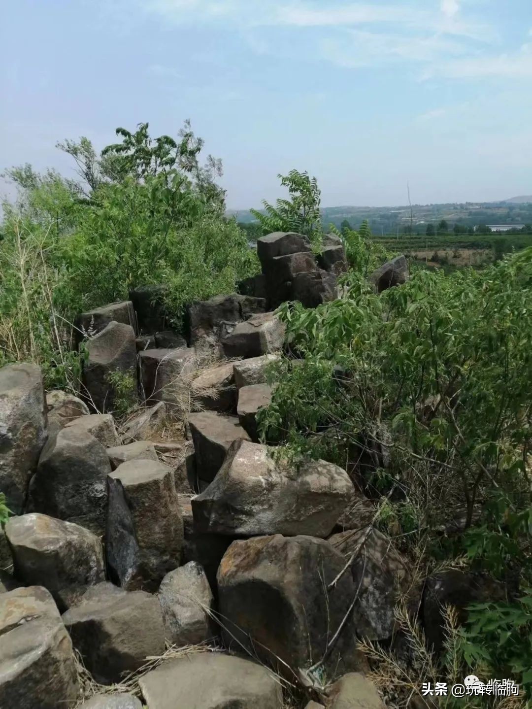临朐丁家路口吕氏族谱,临朐吕氏文化