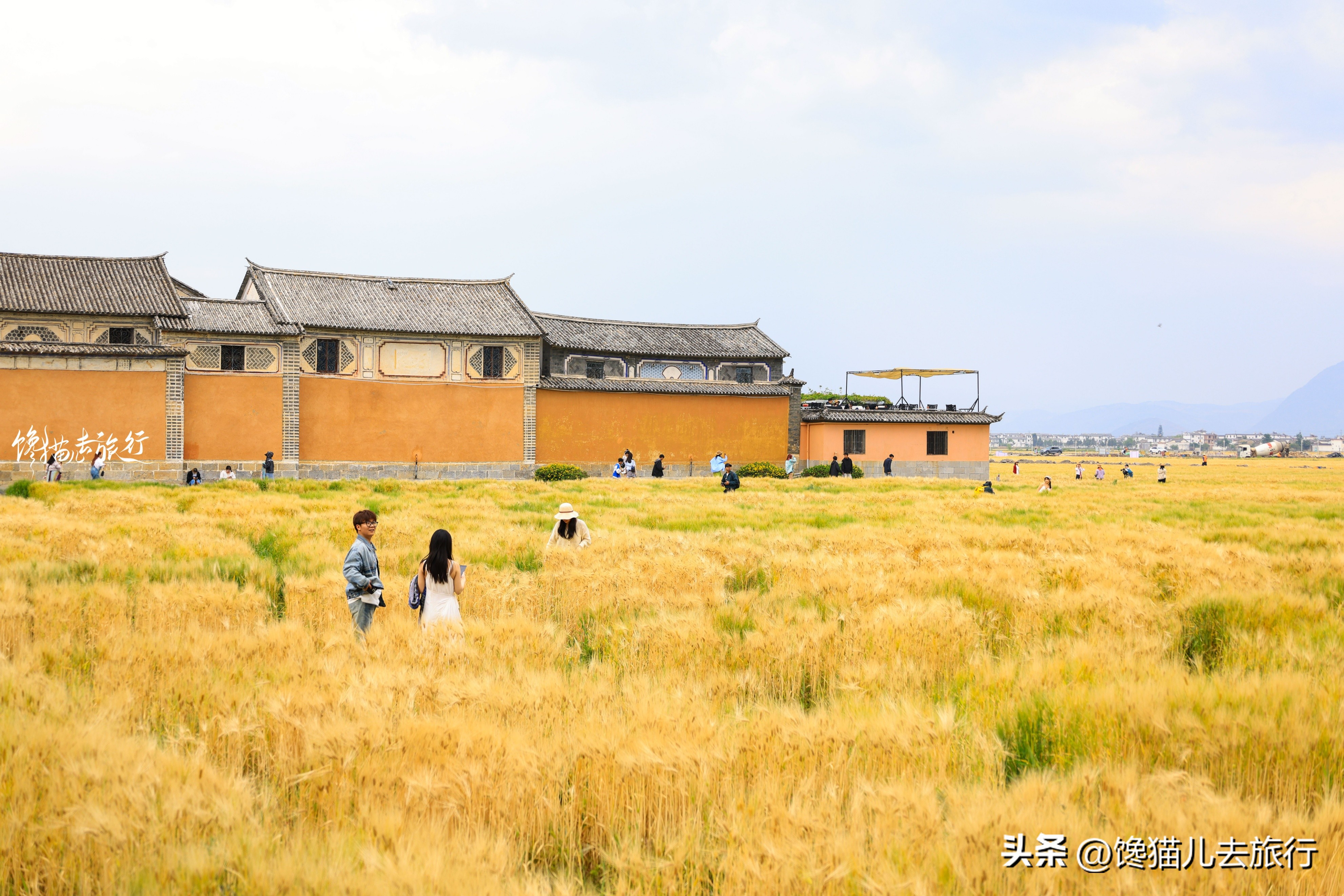春节期间大理有哪些景点门票免费,大理免费景点一览表