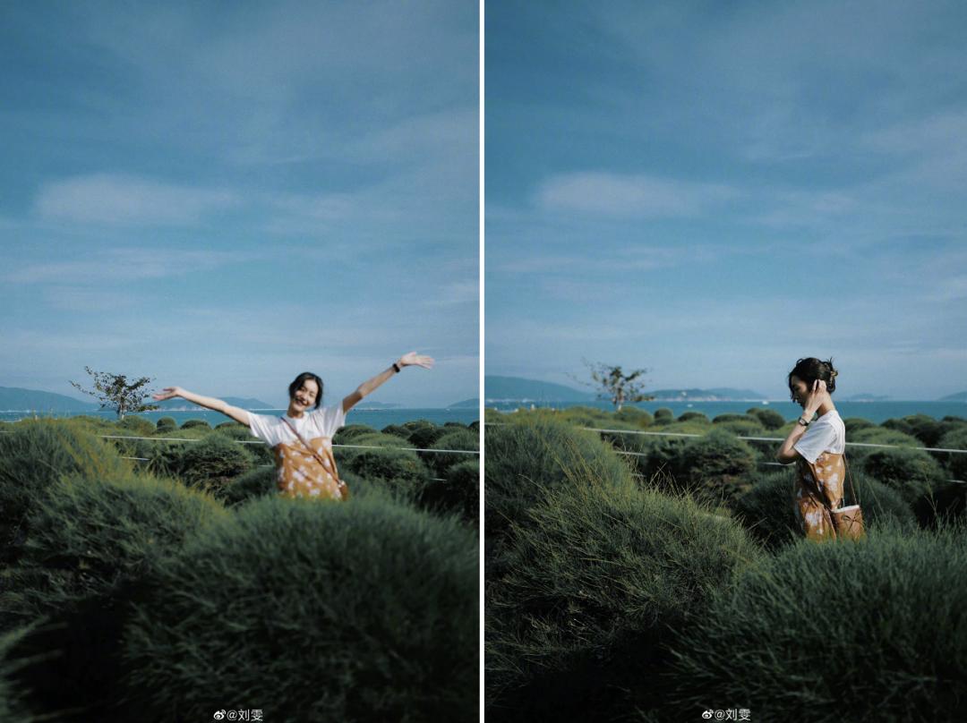 丽思卡尔顿奢华之旅,丽思卡尔顿度假村