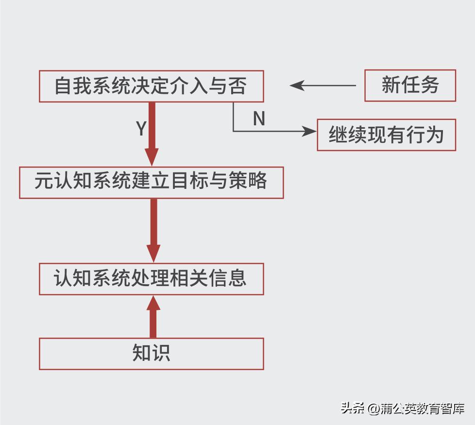k12学习,k12学生学习