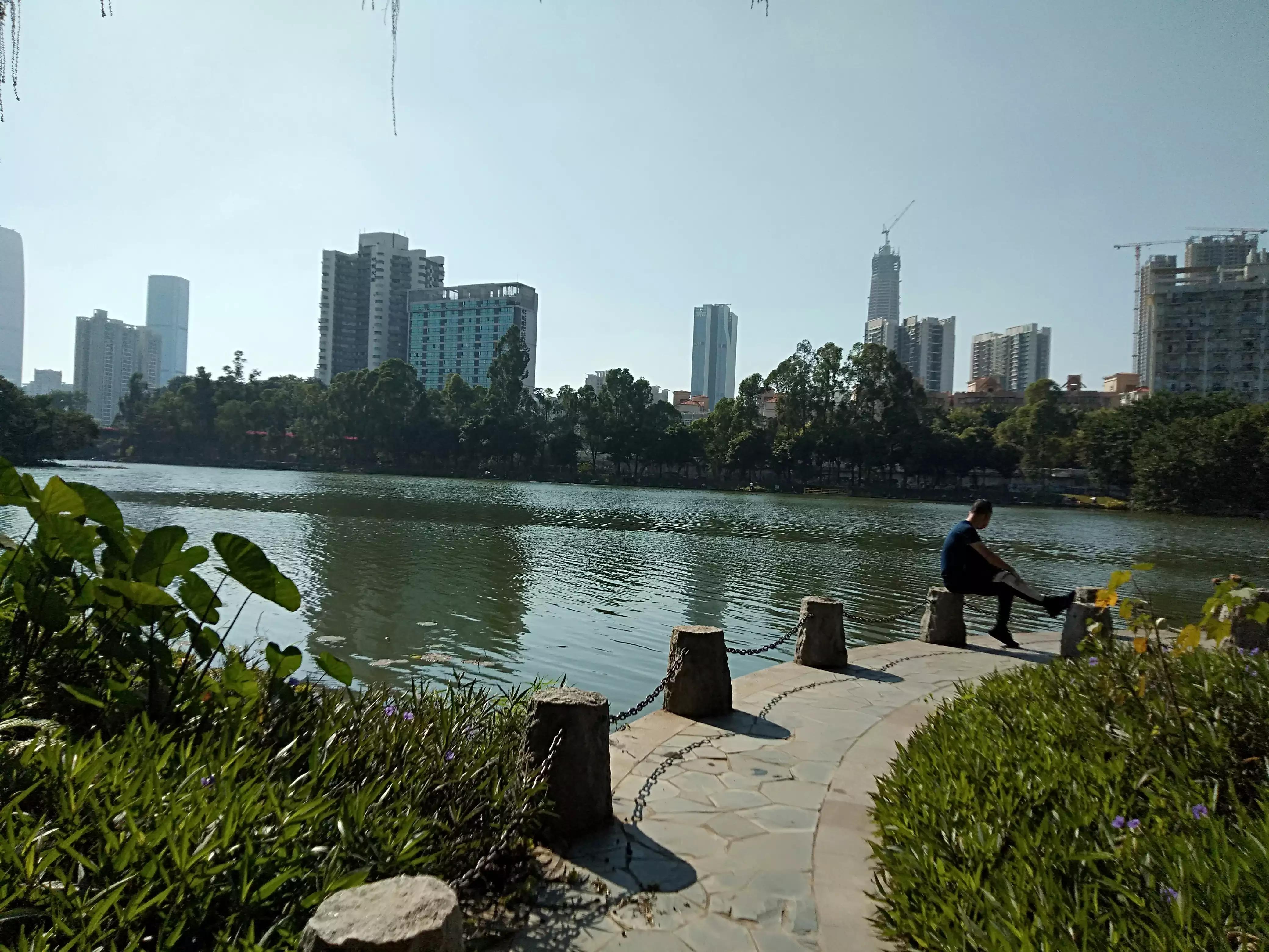 深圳洪湖公园冬季景色,冬天的洪湖公园