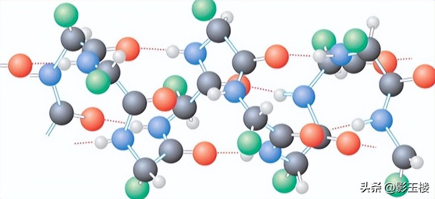 菠萝蜜种子效用,菠萝蜜种子煮熟的功效