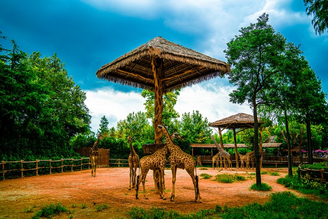 上海十大经典景点,最新上海十大景点
