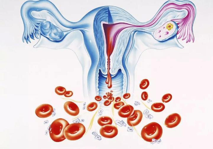 女人绝经为什么会不开心,为什么绝经后夫妻感情就变了呢
