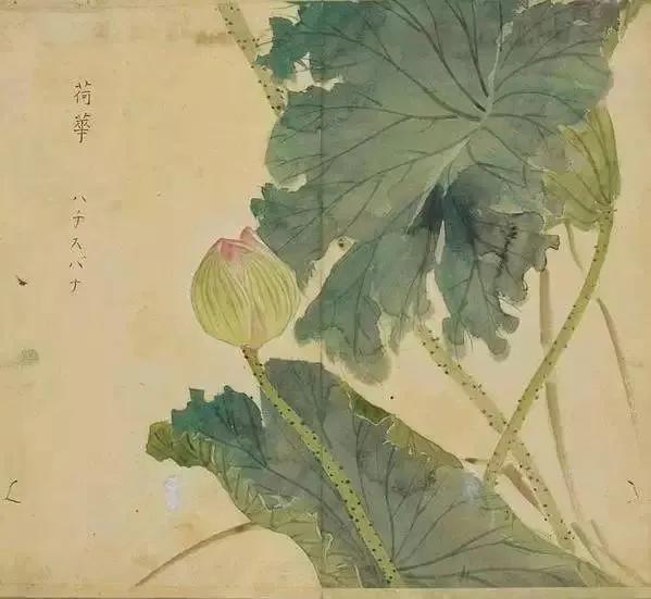 诗经陈风月出原文赏析,诗经陈风月出正确读音