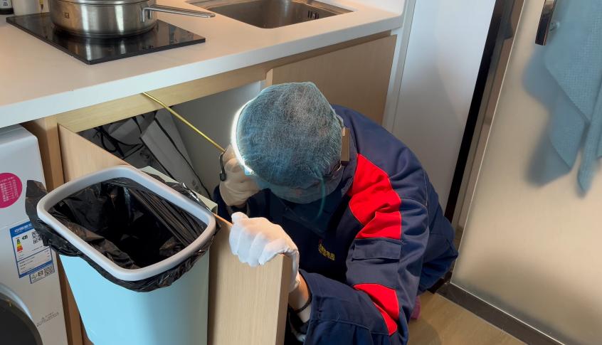 家里突然出现黑飞蛾,家里发现不明虫子应该找哪个部门