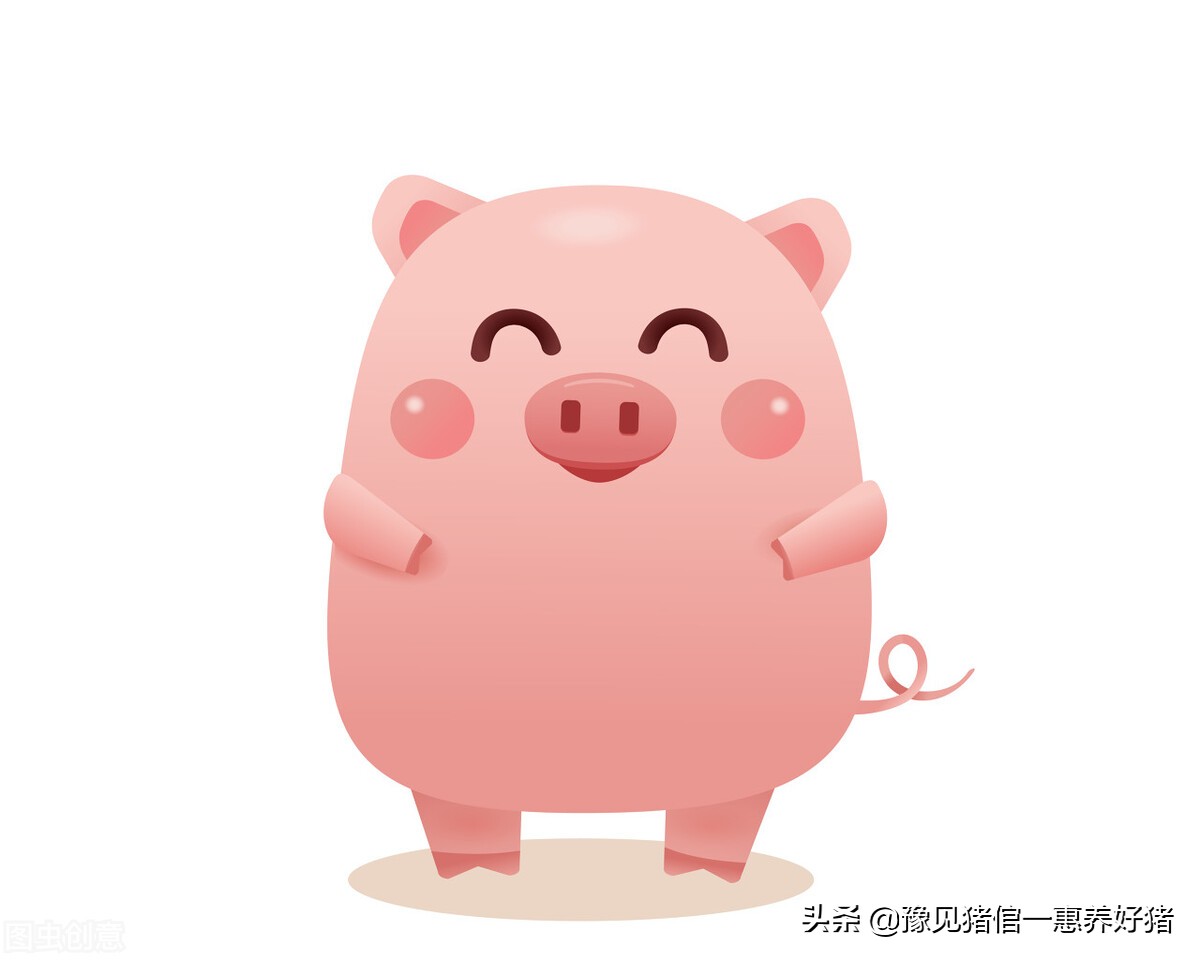 养猪秘籍仔猪要不要剪尾巴,养猪知识养仔猪7个注意事项