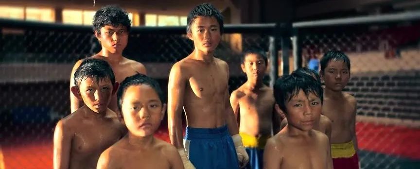 王宝强的八角笼中票房突破几亿,王宝强的八角笼中票房破多少了