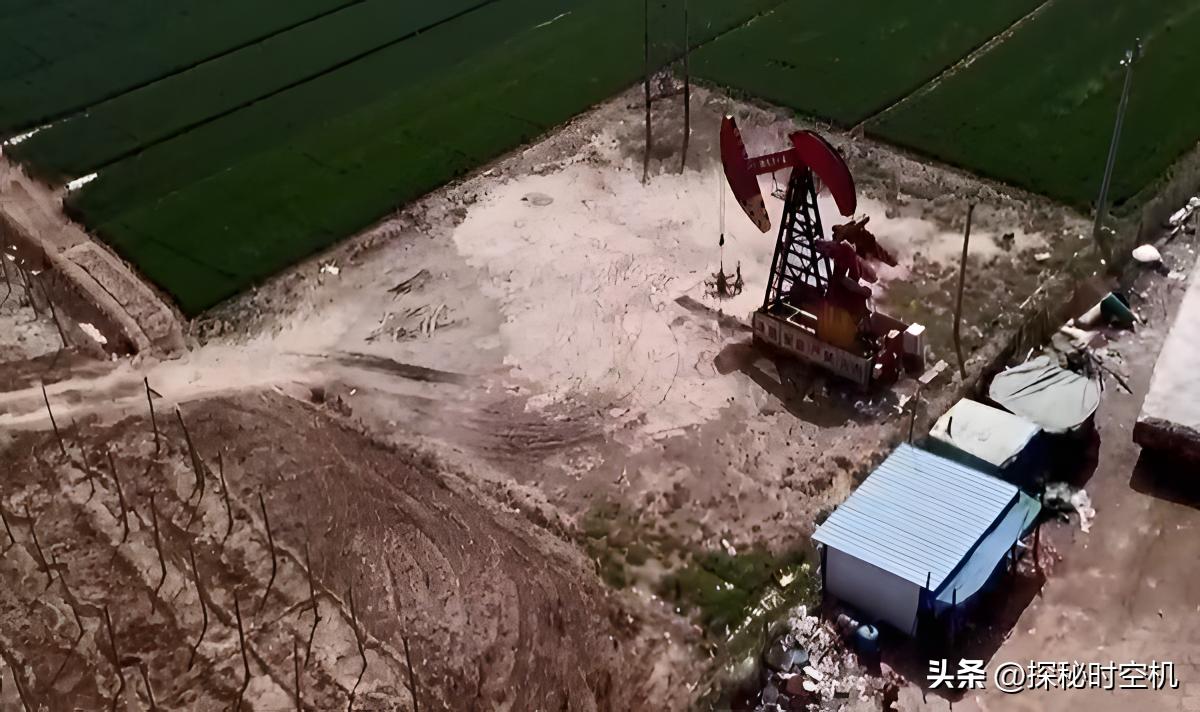 2014年，桃木枝戳穿*体下**？河北女子死状诡异，求爱日记本藏杀机