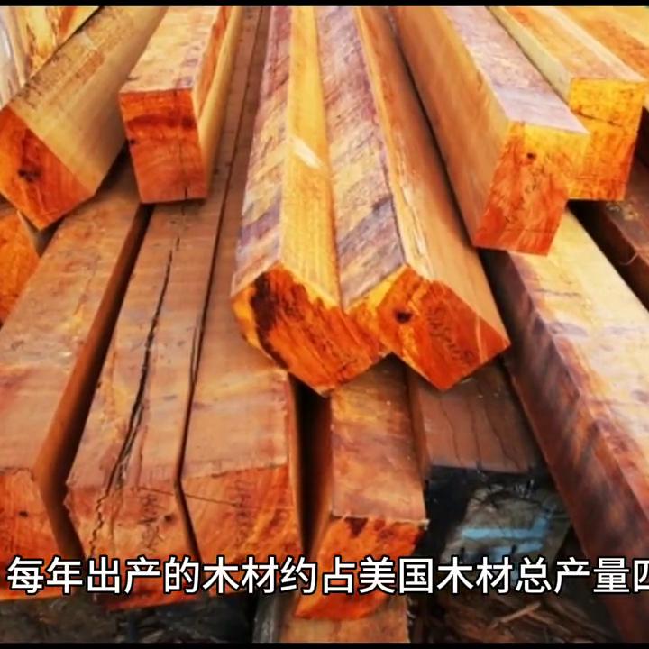 美国科州注册公司,美国注册公司条件