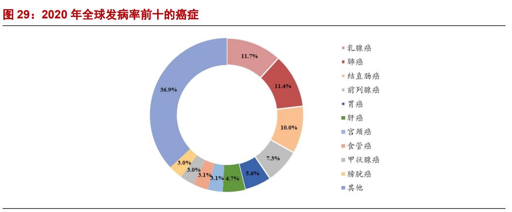 奕瑞科技研究报告：国内数字化X线探测器的引领者