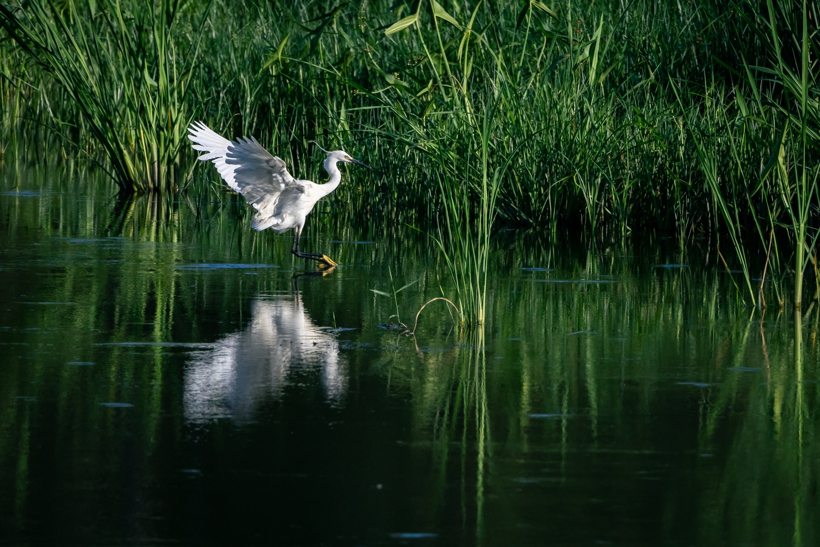 佳能eosr7目前值得买吗,佳能eosr7优缺点