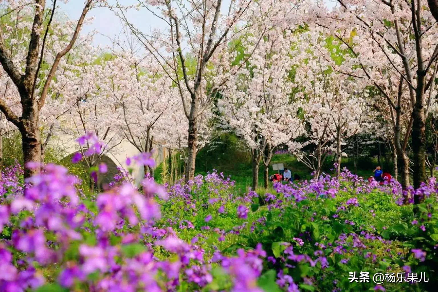 上海宝山风景区天气预报,宝山风景区彭州