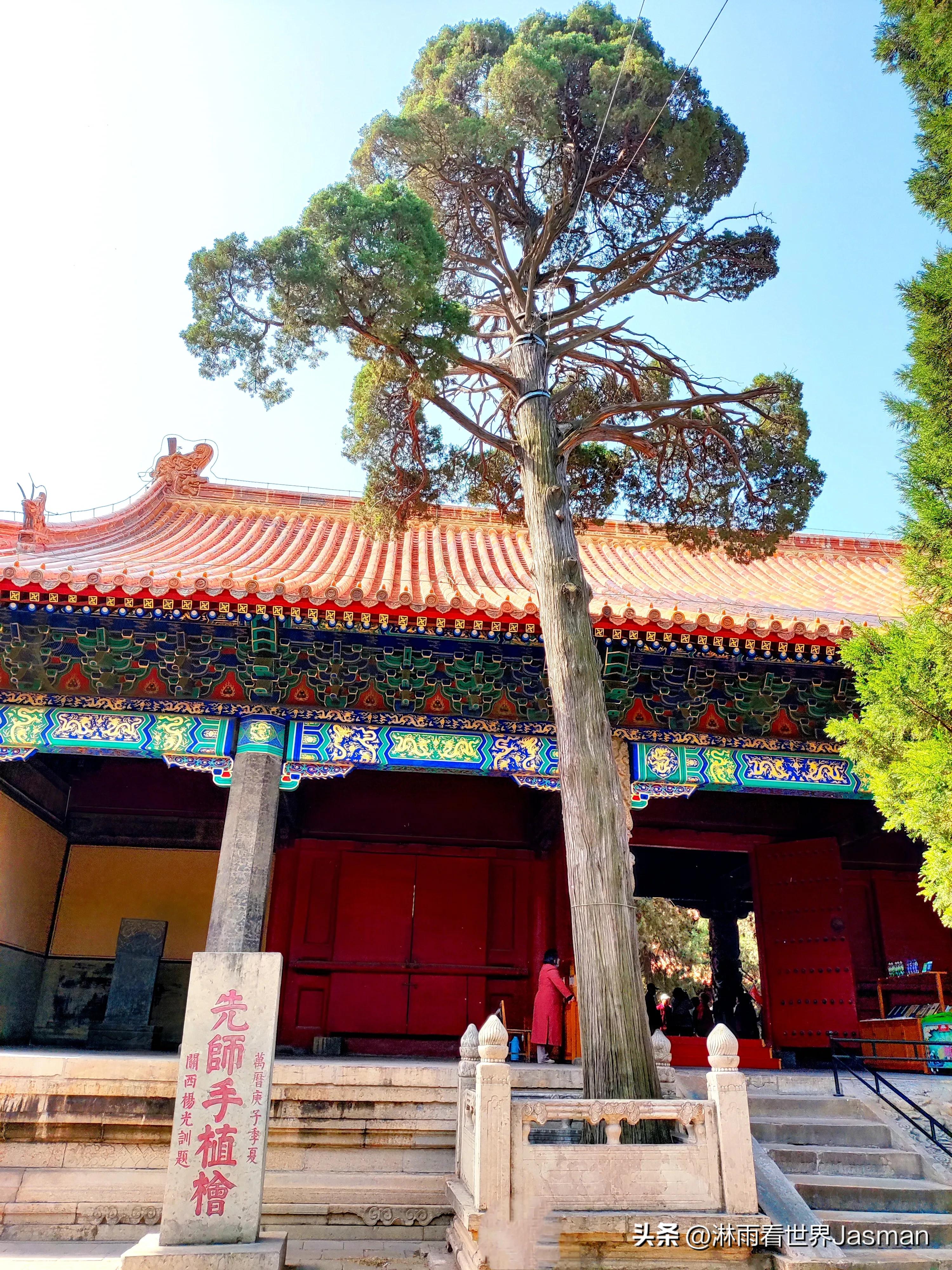 游山东曲阜孔庙，跨越时空，赴一场千年之约