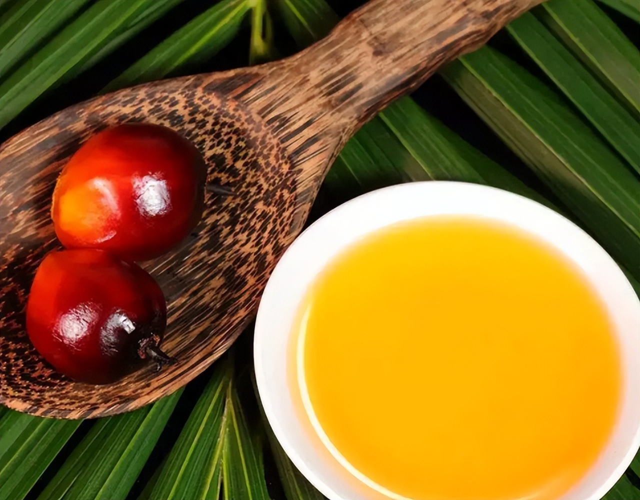 花生油菜籽油豆油吃哪种油好,花生油玉米油菜籽油哪个健康