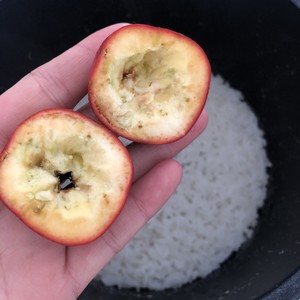 mini网红糖葫芦西安,迷你糖葫芦图片大全