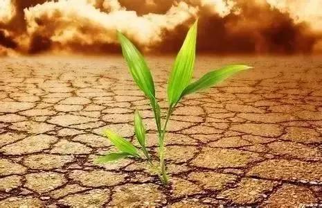 中医五行相生相克学说视频,中医学基础五行相克的正确顺序