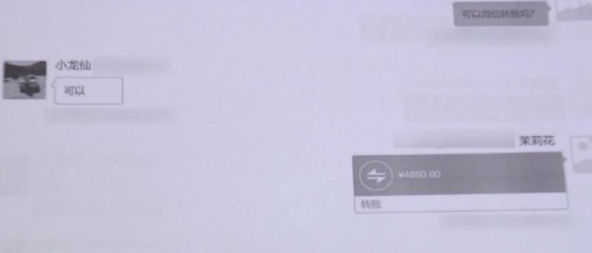 北京第一美女校长沈志莉,女副校长沈志莉案件