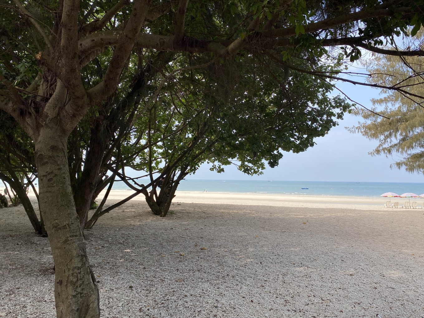 北海四天三晚住哪里最好,北海4天3晚详细攻略