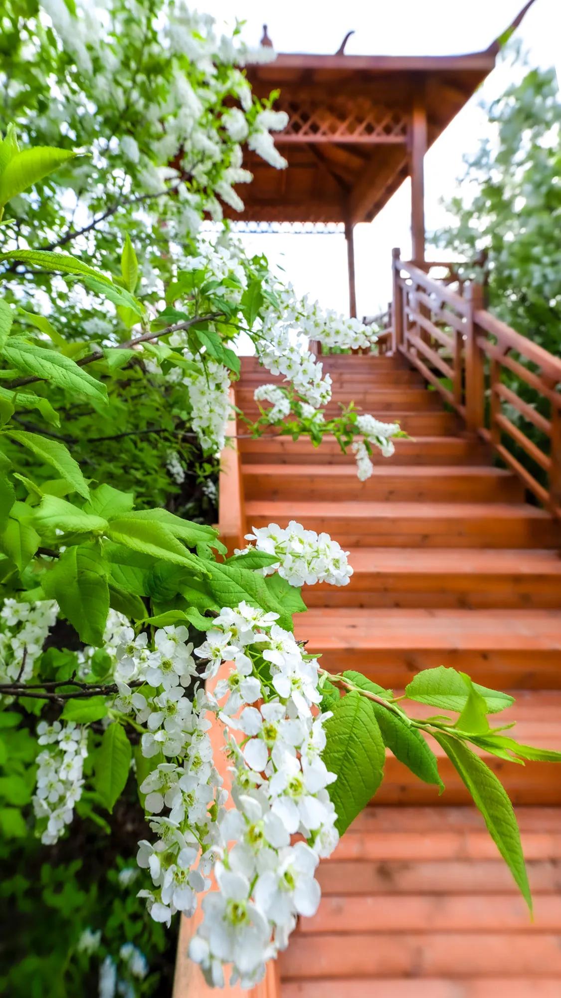 天路丰宁坝上草原自驾游攻略,去坝上草原天路的攻略