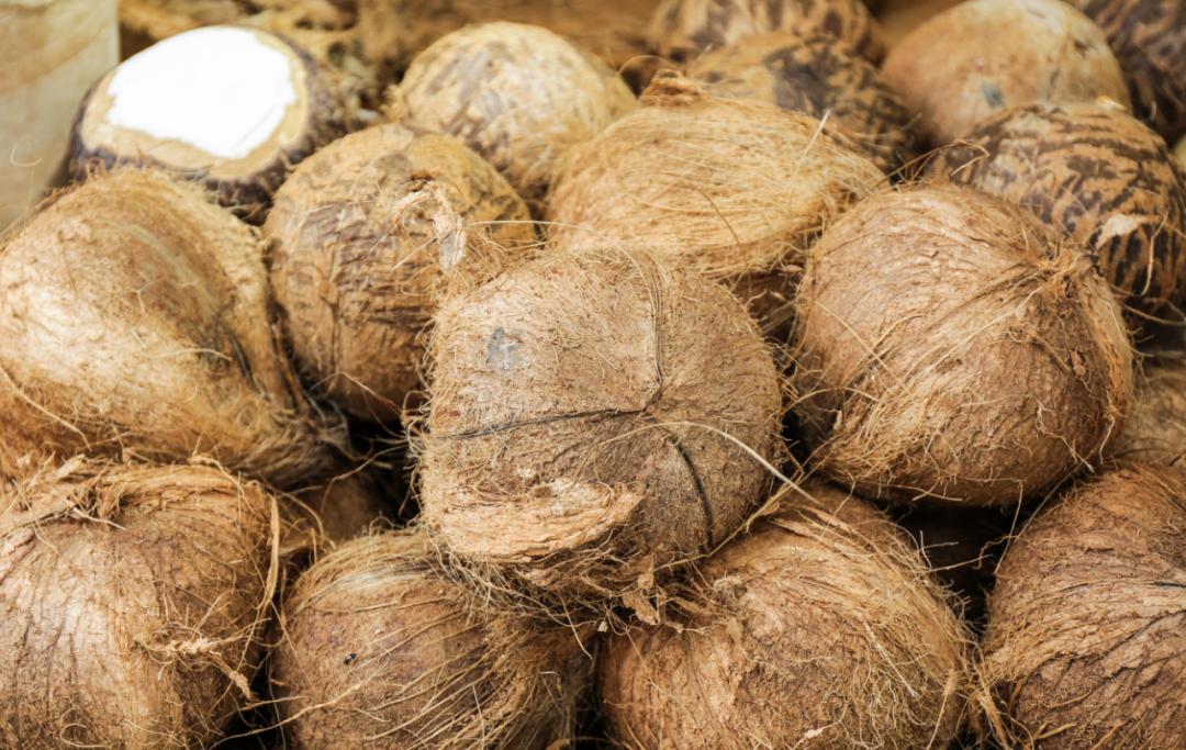 喝椰子进急诊,喝椰子水进急诊网友们慌了