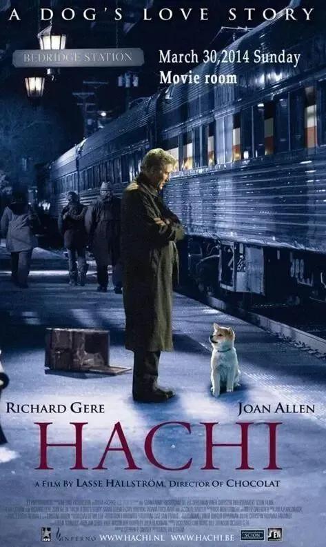 成人零基础学习英语单词app,零基础英语学习视频教程全集