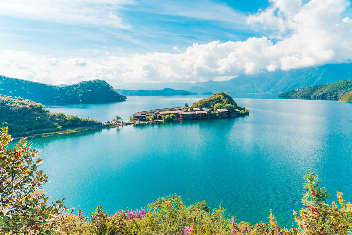 2023年小学教师资格证下半年真题,2024下半年小学教师资格证真题