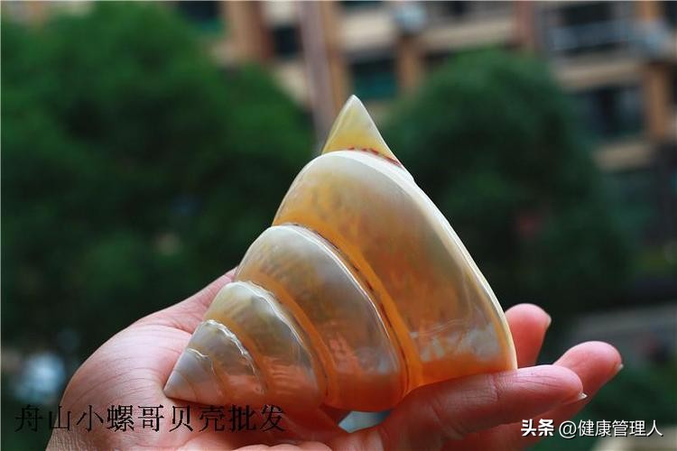 世界顶级海鲜食材,世界顶级的海鲜视频