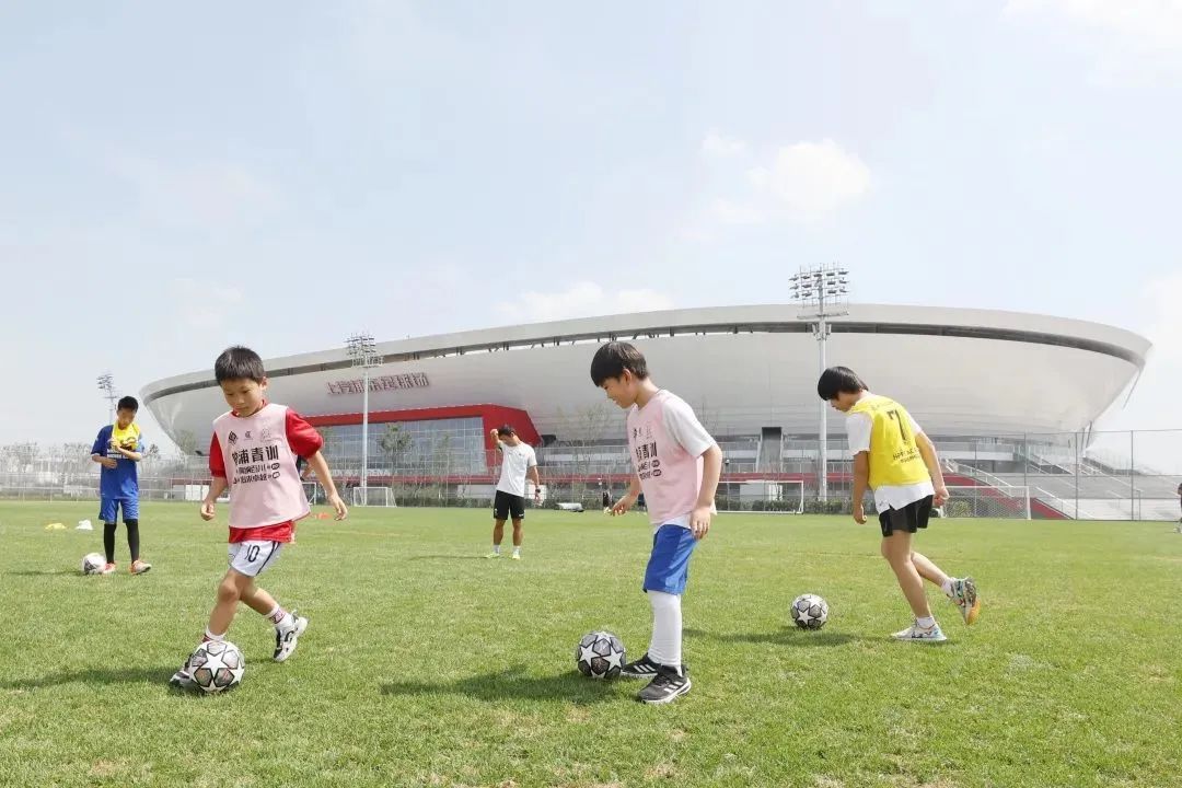 上海明日之星冠军杯决赛直播,上海足球联赛最新比赛消息