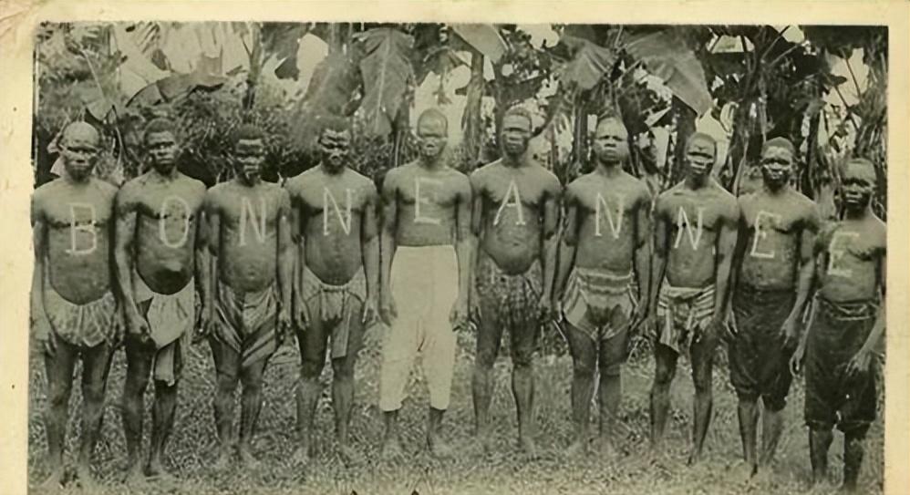 18世纪奴隶贸易最严重的原因,奴隶贸易的原因和影响