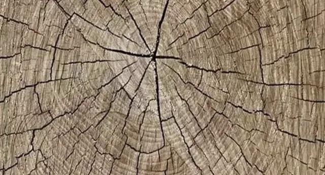 大红酸枝容易开裂变形吗,大红酸枝红木家具一般有白皮吗