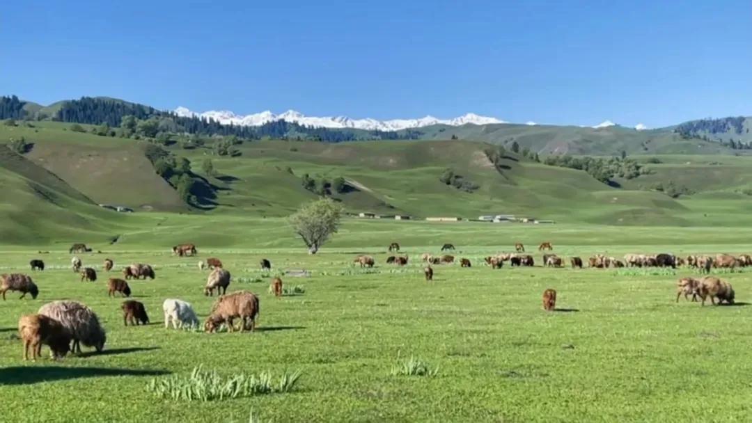 唐诗楚辞男孩名字大全集,唐诗中男孩名字大全集