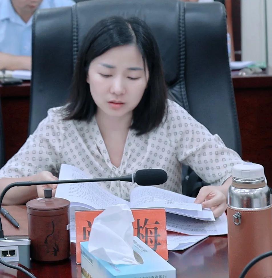 隆回乡村振兴七个方面,湖南振兴乡村隆回