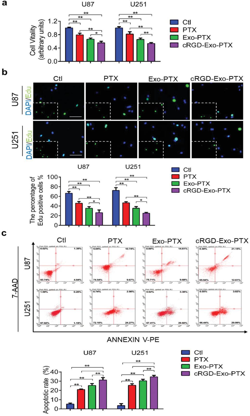 法国最新治疗胶质母细胞瘤,干细胞治疗母细胞胶质瘤
